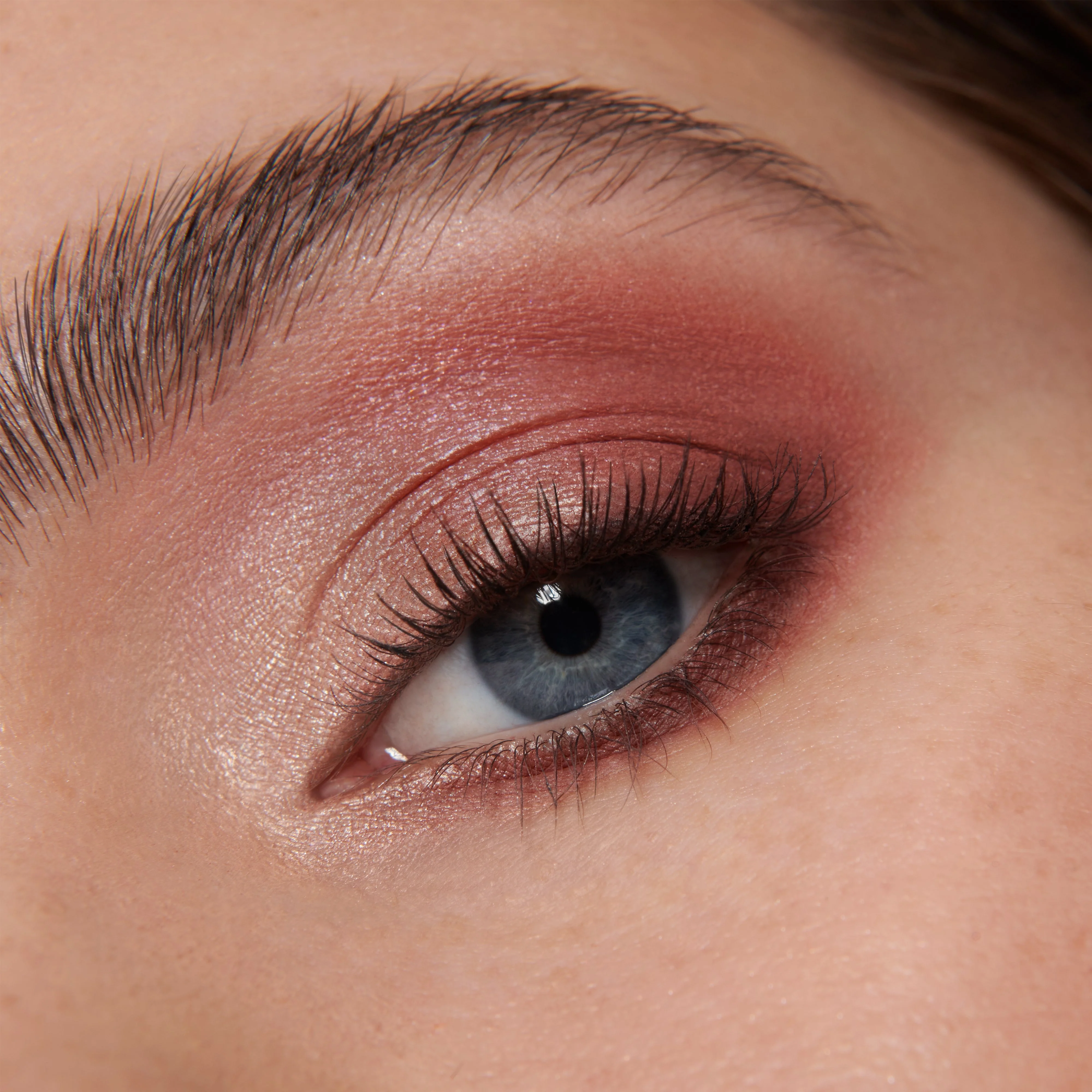Muse (Eyeshadow Palette) - Image 4