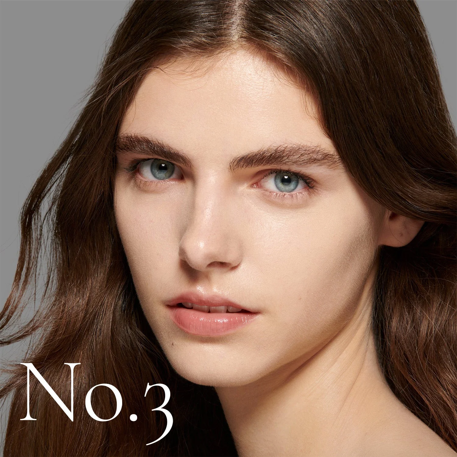 Shade No. 3 (The Foundation) - Image 7